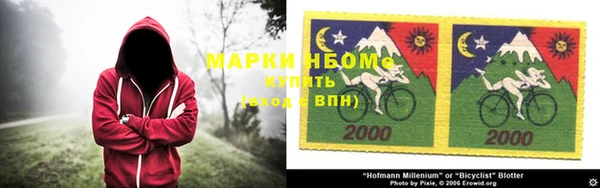 прущая мука Богородицк