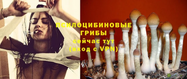 прущая мука Богородицк