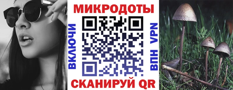 где купить наркоту Ростов-на-Дону Псилоцибиновые грибы Psilocybine cubensis